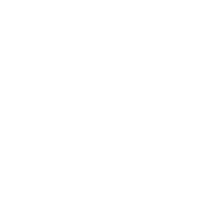 Controllo processo approvvigionamento WMS